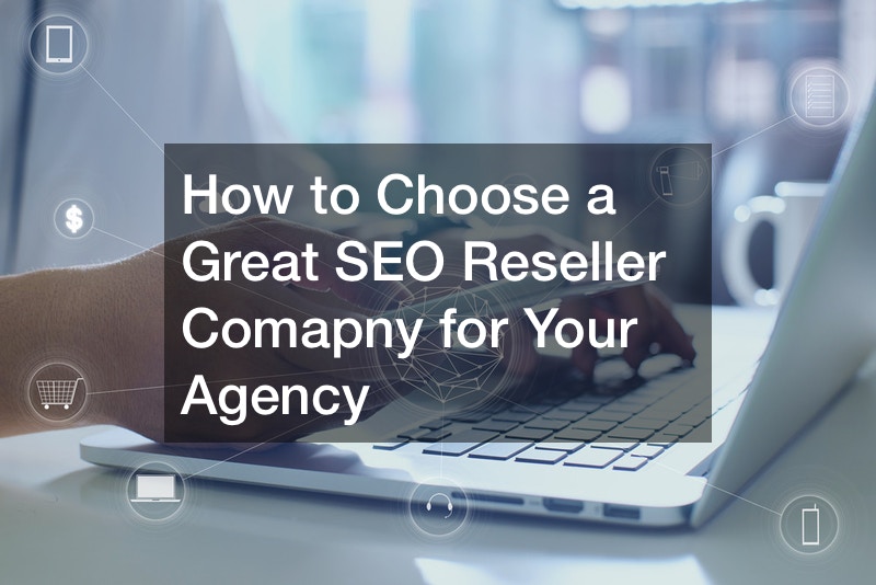 How to Choose a Great SEO Reseller Comapny for Your Agency – Reseller Blog